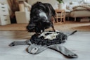 Vorschaubild HUNTER Billund Schnüffelteppich Bär grau Hundespielzeug