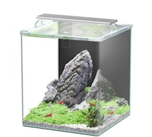 Aquatlantis Kubus Curve 44L LED - Essential