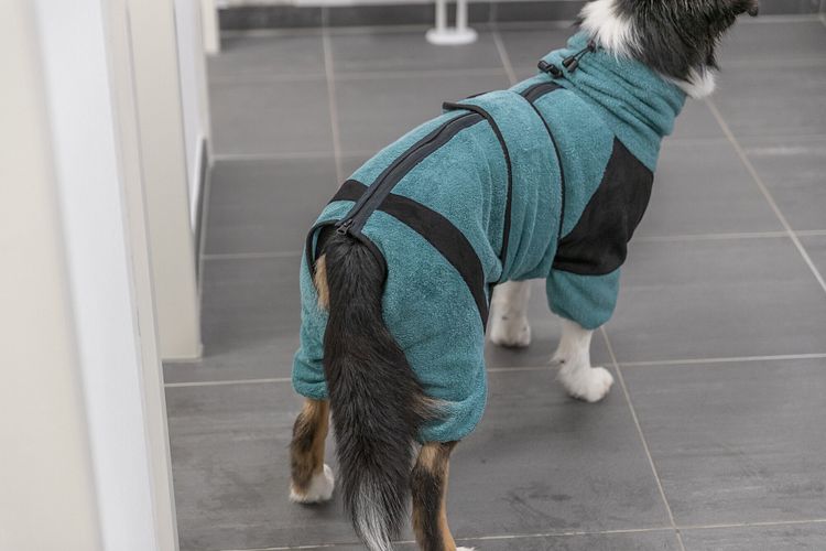 TRIXIE Bade- und Hausoverall für Hunde, Frottee, petrol