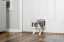 Vorschaubild PetSafe Katzenklappe Deluxe 4-Way weiß
