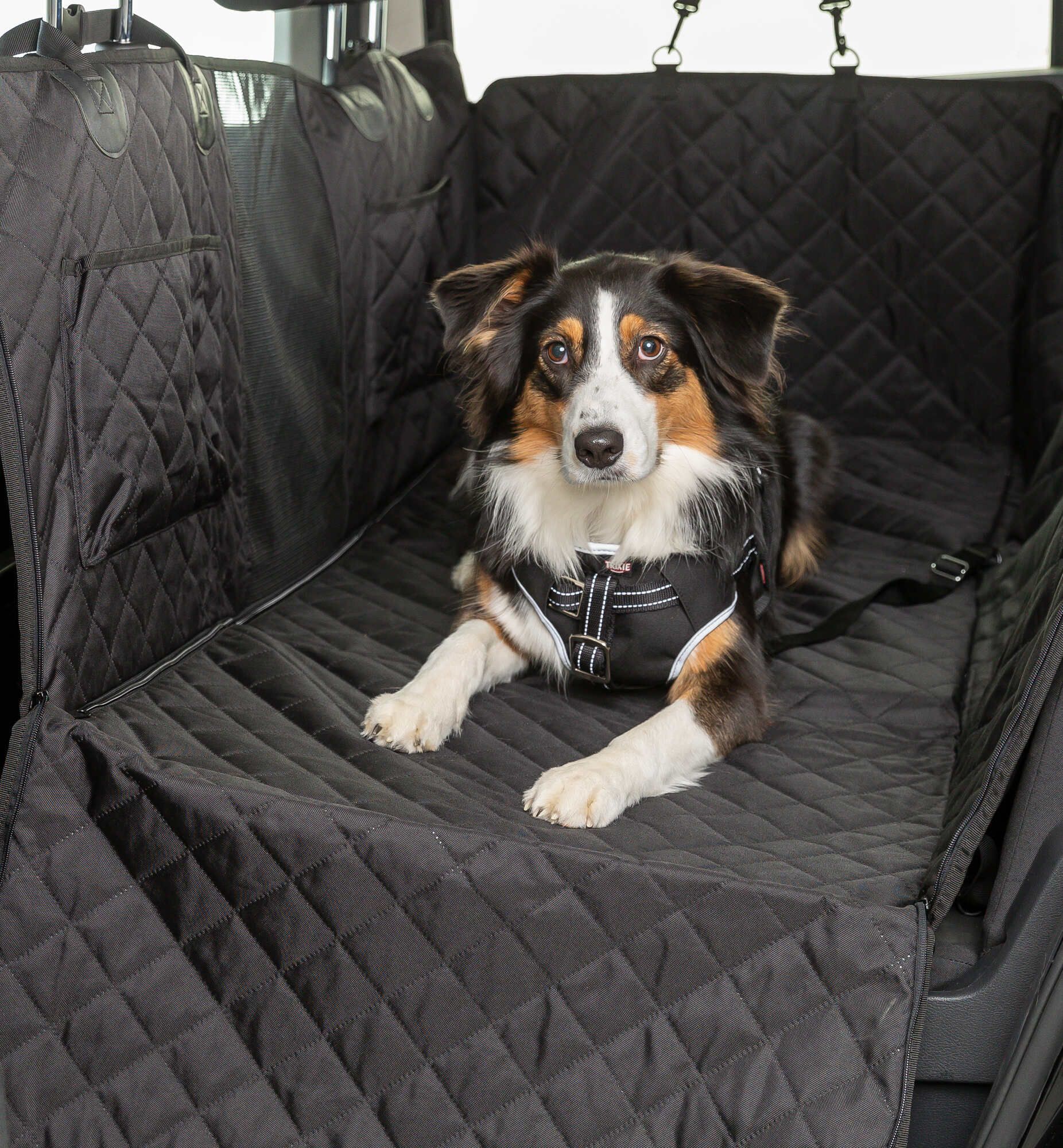 TRIXIE Auto-Schondecke, 1,64 × 1,61 m, schwarz