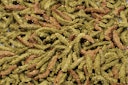 Vorschaubild JR FARM Grainless Health Complete Chinchilla & Degu 600g Kleintierfutter