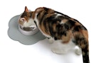 Vorschaubild catit Silikonmatte in Blumenform ca. 30 Centimeter Katzennapfunterlage