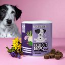 Vorschaubild Tierliebhaber Chillout Drops