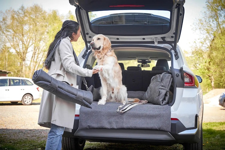 WOLTERS Dog Traveling Kofferraumbett 110 x 75 x 20 cm dunkelgrau