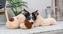 Vorschaubild TRIXIE Ankuschelhund Benny, Plüsch, 75 cm, beige/braun