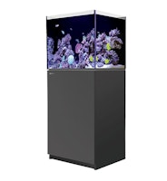 Red Sea REEFER™ 170 System G3 - Schwarz