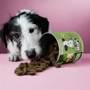 Vorschaubild Tierliebhaber Gras- & Kotfresser Drops