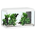 Vorschaubild aquatlantis Advance 60 LED Set Aquarium Set