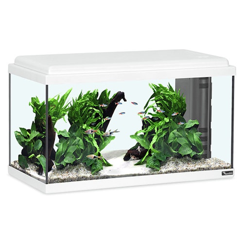 aquatlantis Advance 60 LED Set Aquarium Set