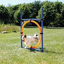 Vorschaubild TRIXIE Fun Agility Ring, Kunststoff, 115 × ø 3 cm, ø 65 cm, blau/orange