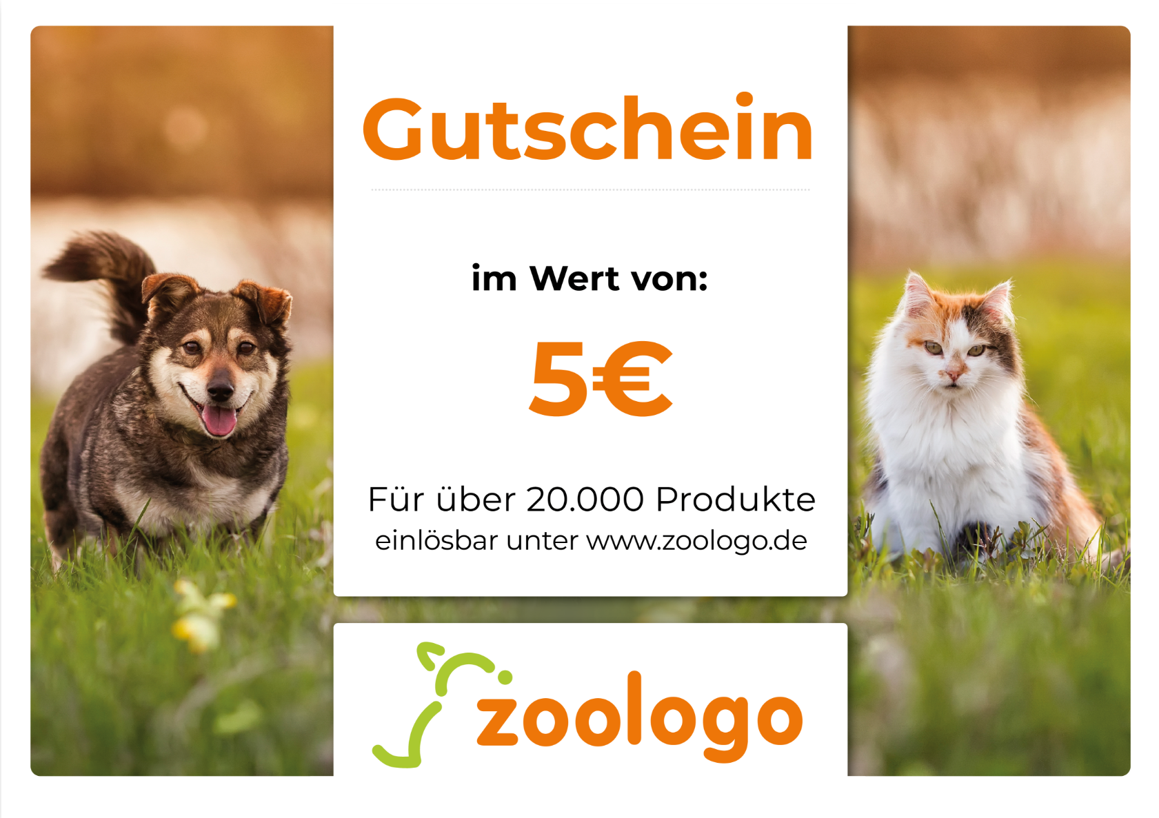 footer.newsletter