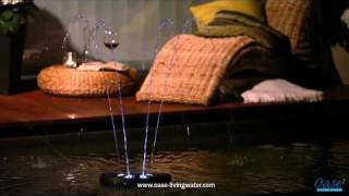 Oase Wasserspiel Water Starlet