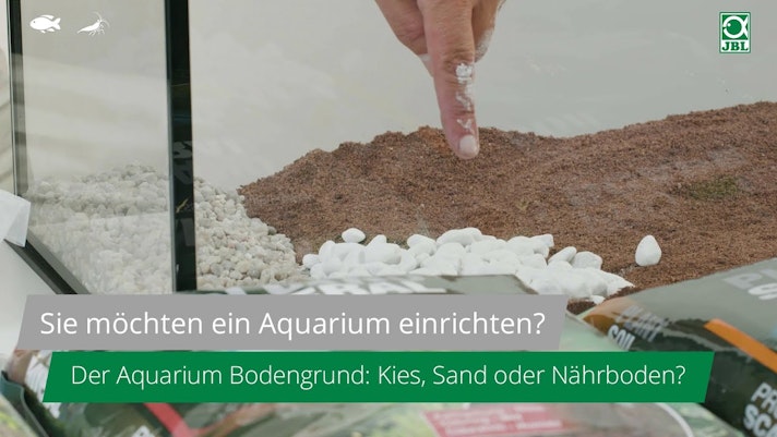 Vorschaubild Youtube-Video Vorschaubild Youtube-Video