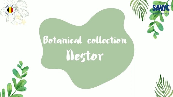 Vorschaubild Youtube-Video Vorschaubild Youtube-Video