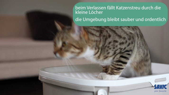 Vorschaubild Youtube-Video Vorschaubild Youtube-Video