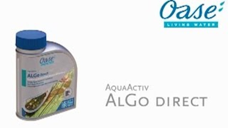 Oase Algenvernichter AquaActiv AlGo Direct 500 ml Oase Algenvernichter AquaActiv AlGo Direct 500 ml