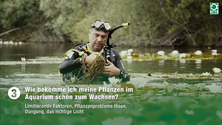 Vorschaubild Youtube-Video Vorschaubild Youtube-Video