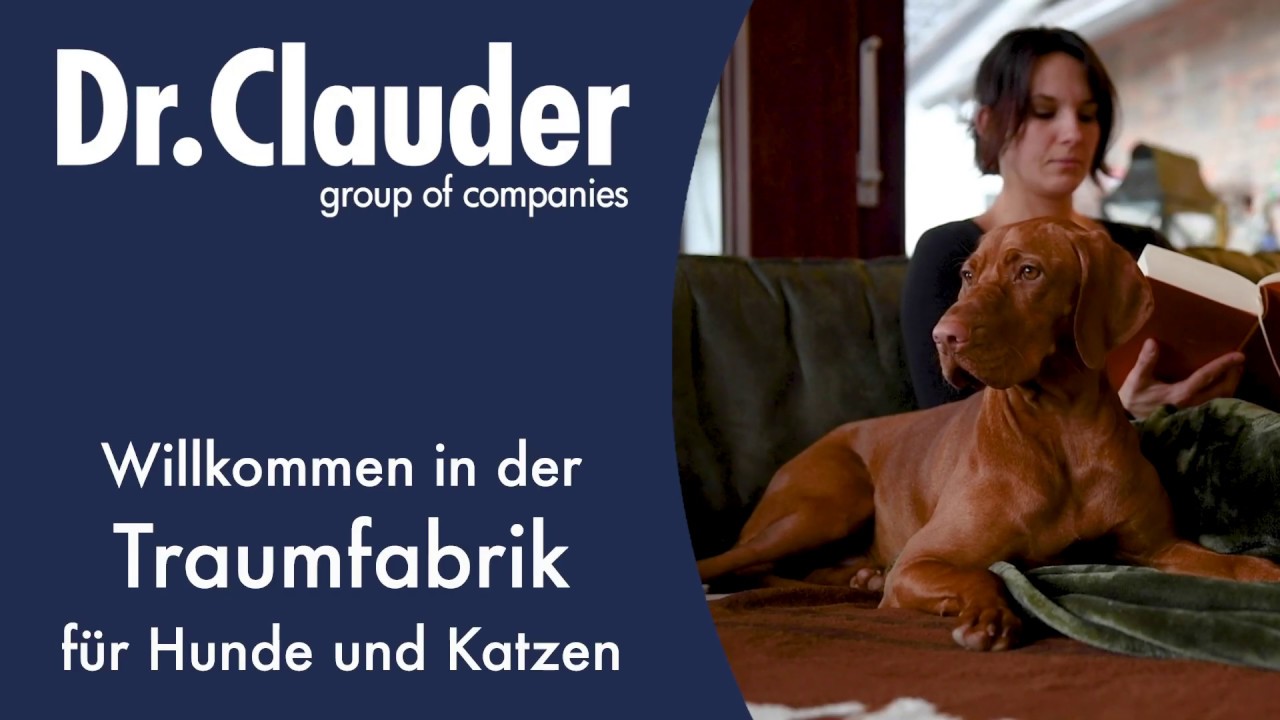 Vorschaubild Youtube-Video