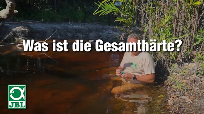 Vorschaubild Youtube-Video Vorschaubild Youtube-Video