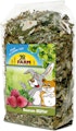 JR FARM Beerenblätter 100g Raufutter für KleintiereVorschaubild