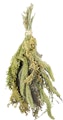 JR FARM Hirsen-Potpourri 50g VogelsnackVorschaubild