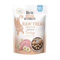 Brit Katze RAW TREAT SnackVorschaubild