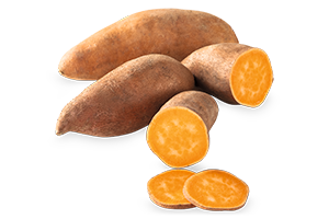 6520_suesskartoffel